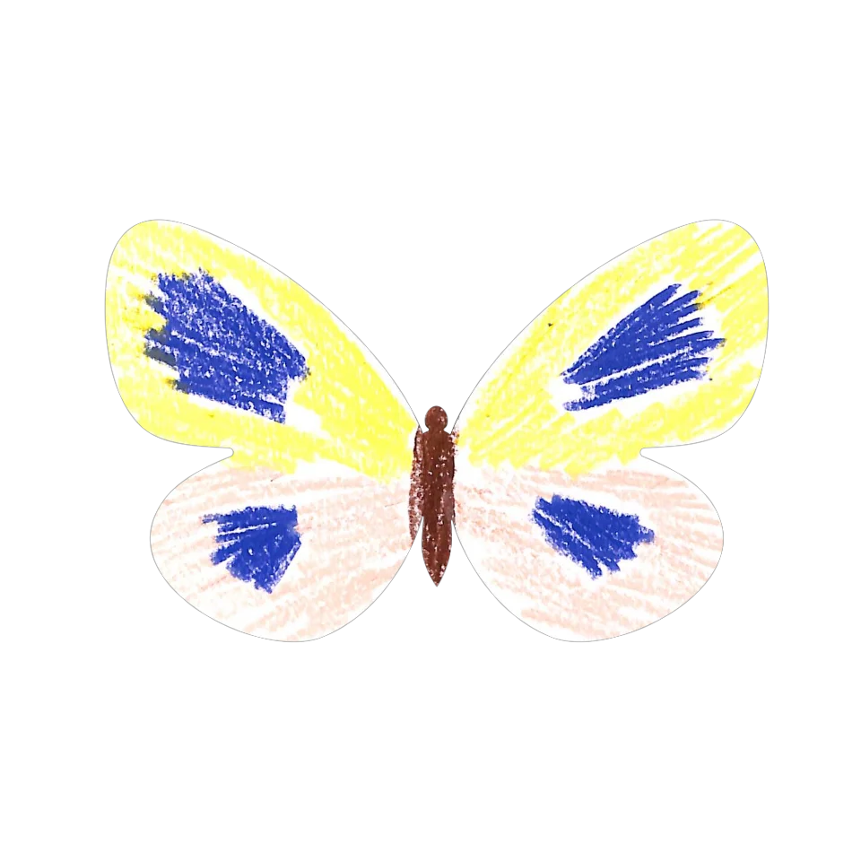 Original Butterfly Image