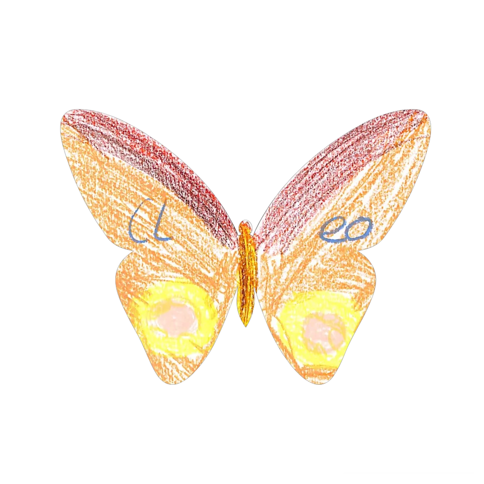 Original Butterfly Image
