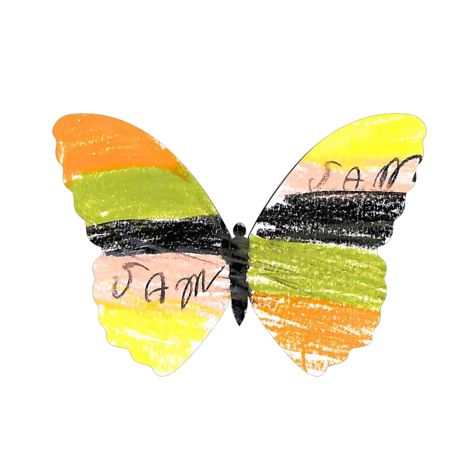 Original Butterfly Image