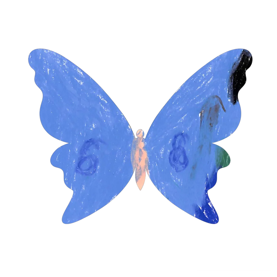 Original Butterfly Image