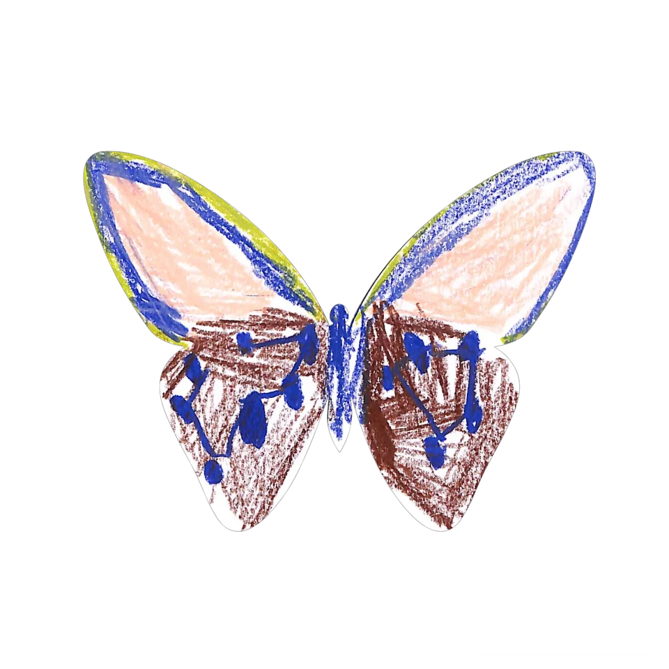 Original Butterfly Image