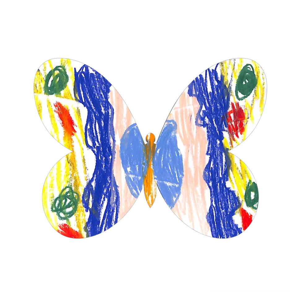 Original Butterfly Image