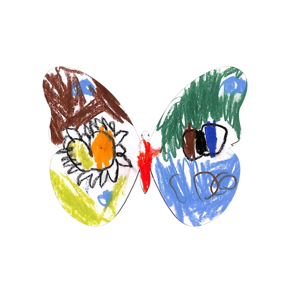 Original Butterfly Image