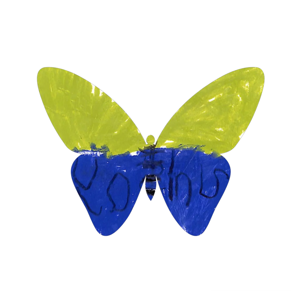 Original Butterfly Image