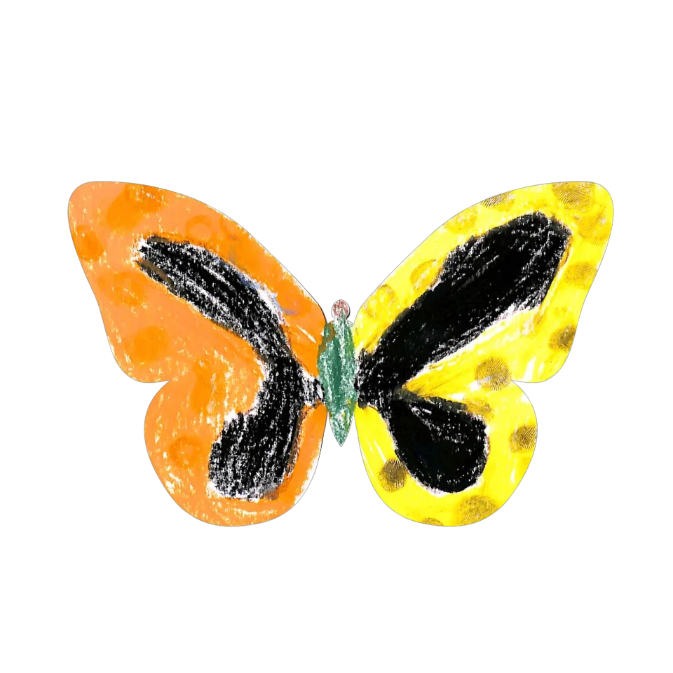 Original Butterfly Image