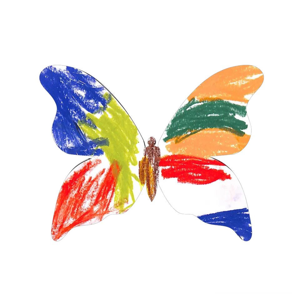 Original Butterfly Image
