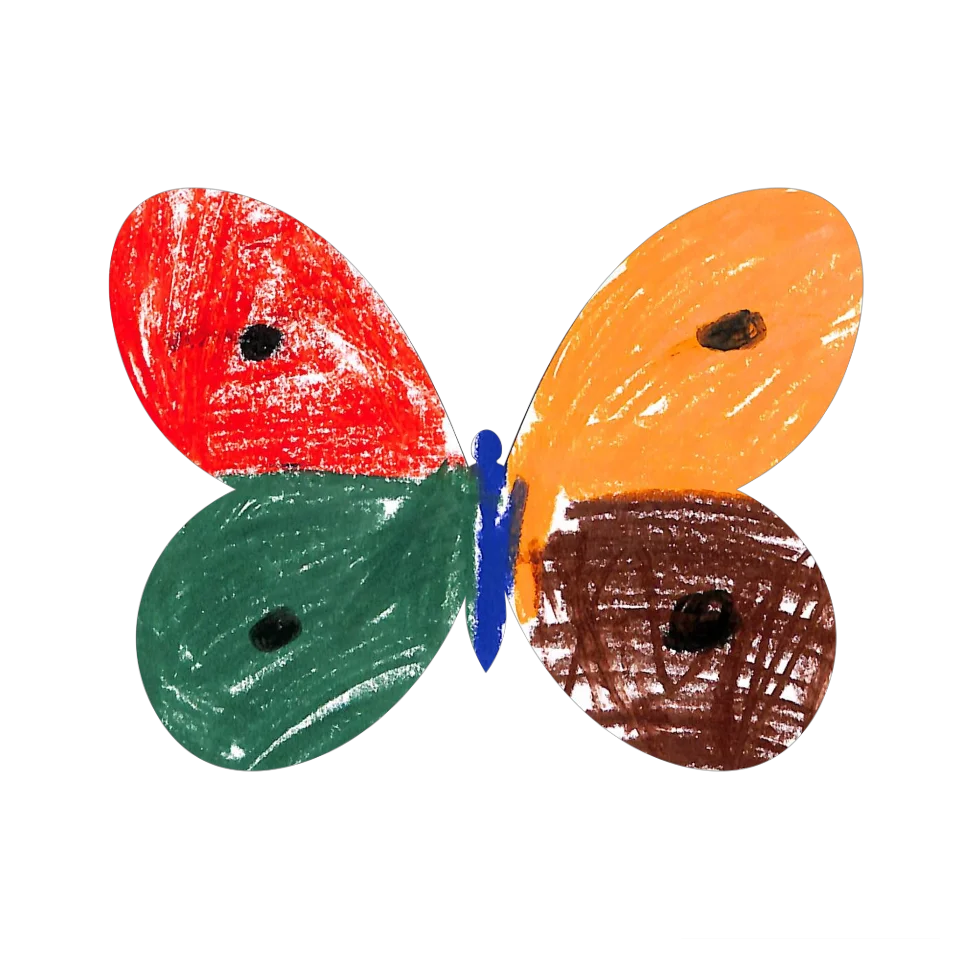 Original Butterfly Image