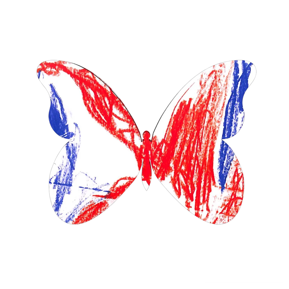 Original Butterfly Image
