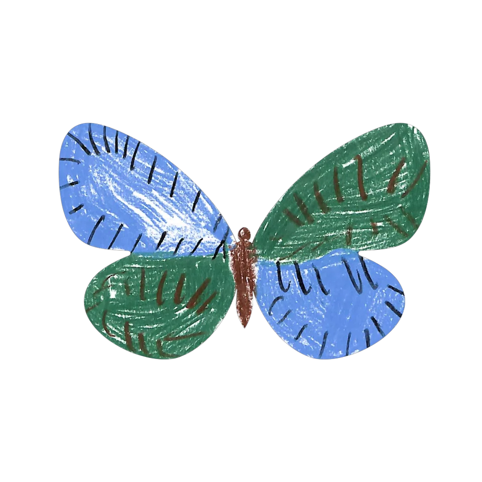 Original Butterfly Image