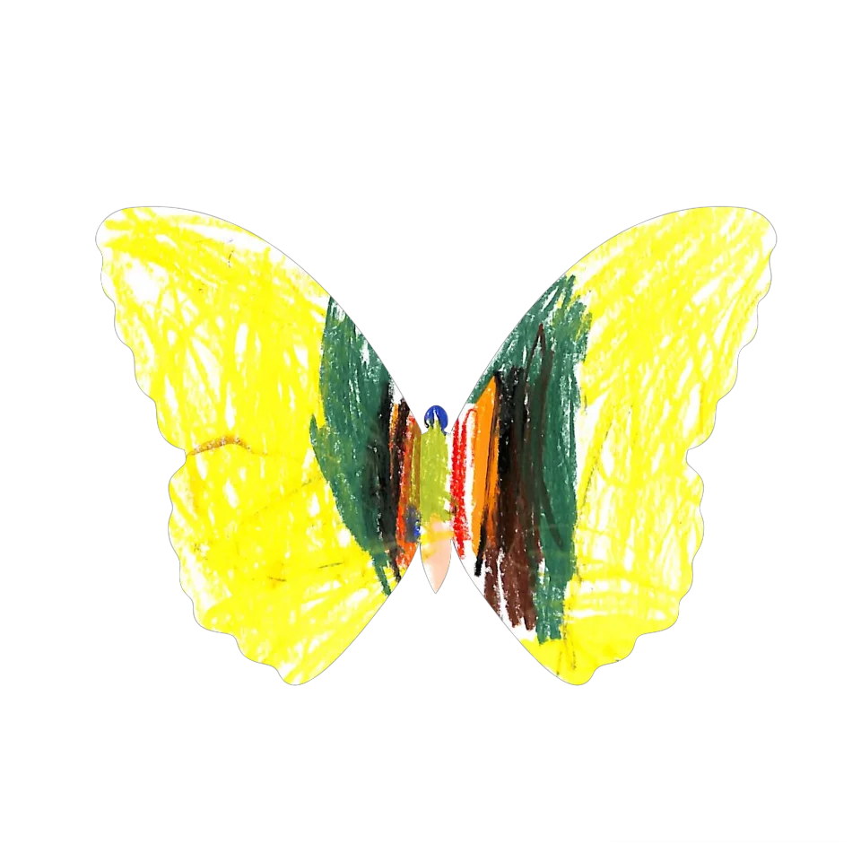 Original Butterfly Image