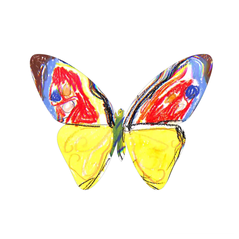 Original Butterfly Image