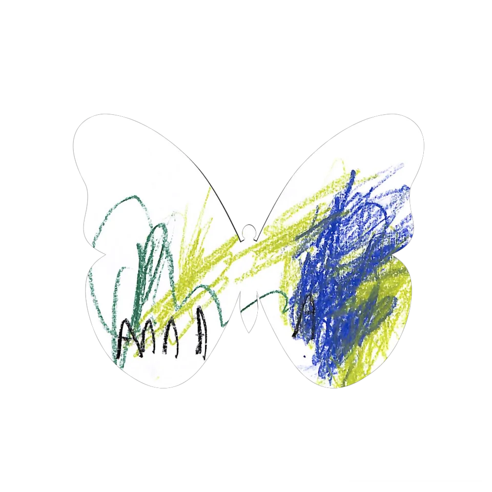 Original Butterfly Image
