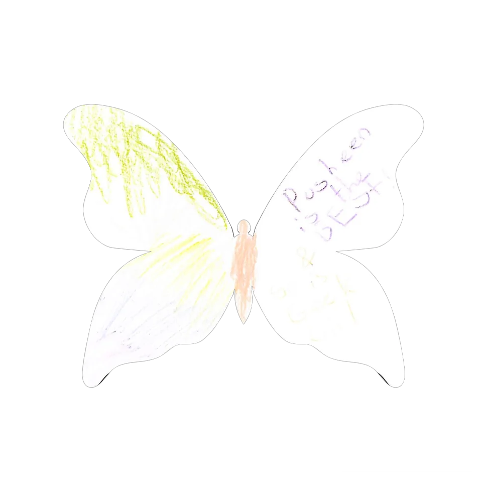 Original Butterfly Image