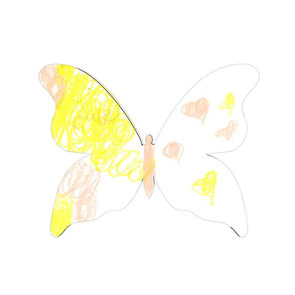 Original Butterfly Image