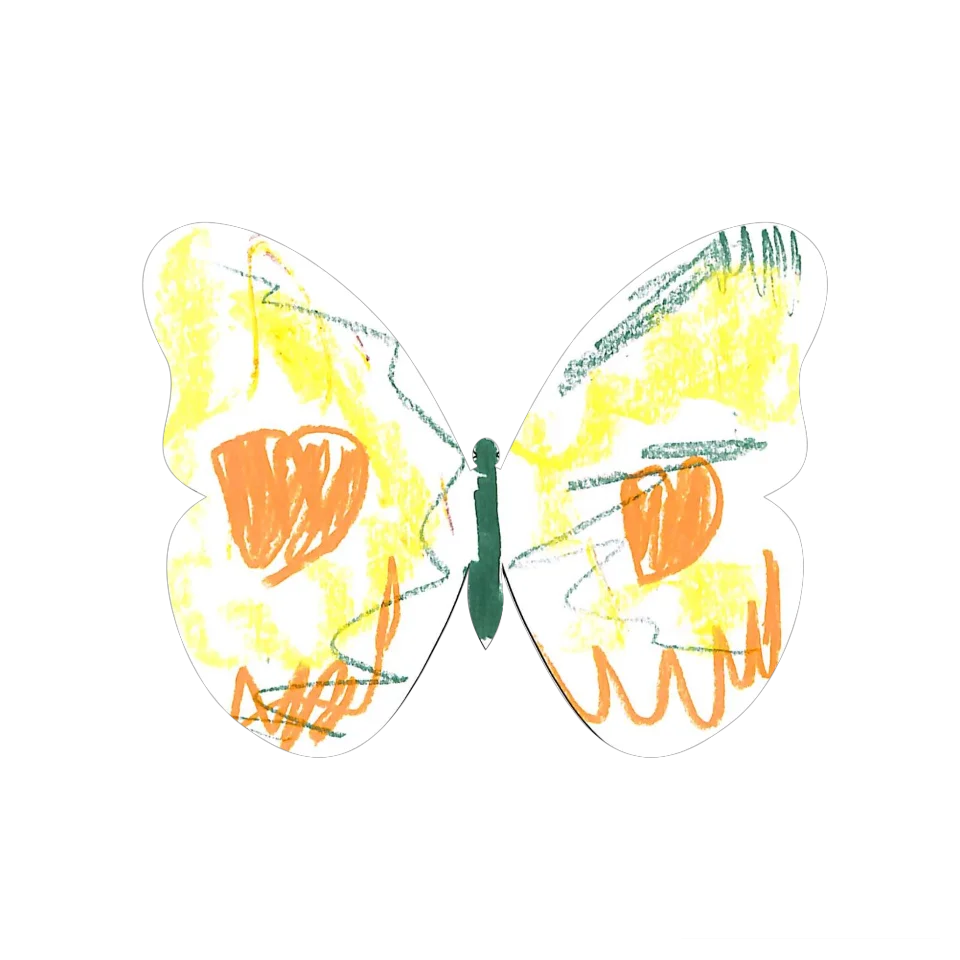 Original Butterfly Image