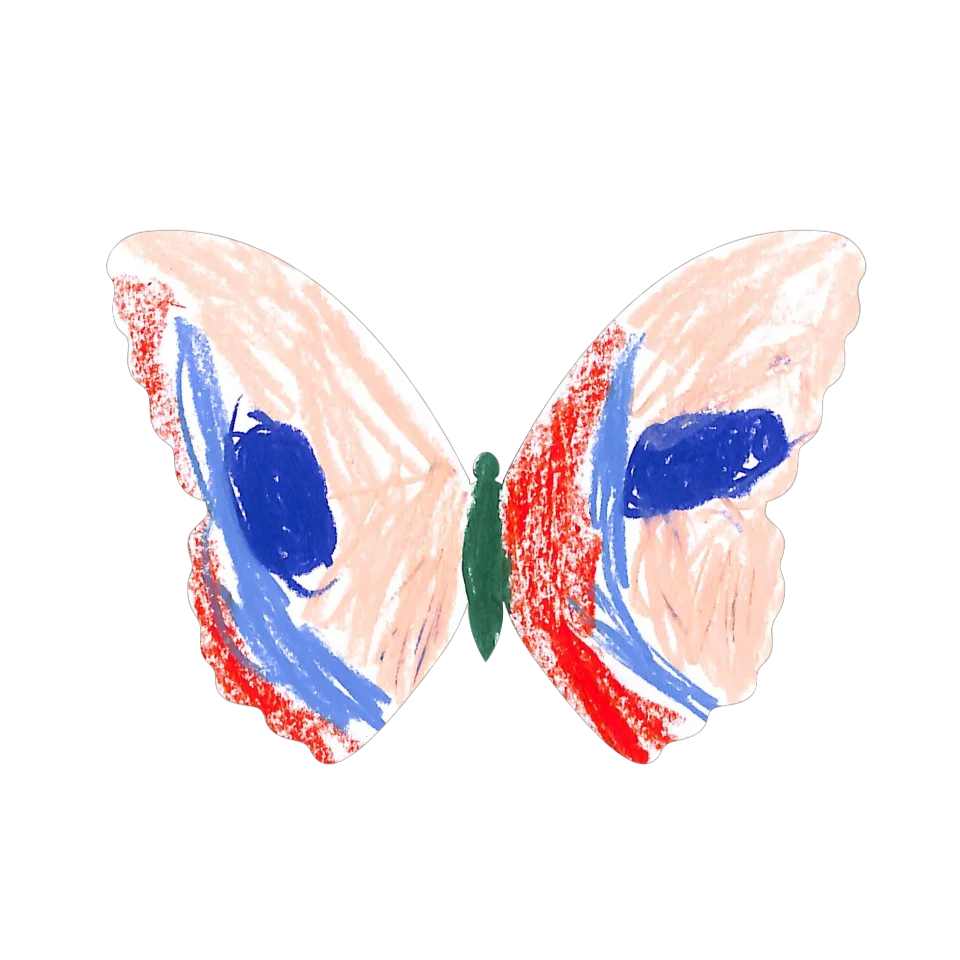 Original Butterfly Image