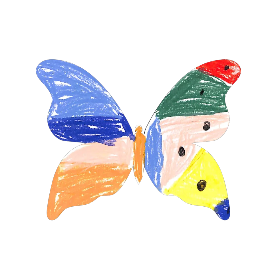 Original Butterfly Image