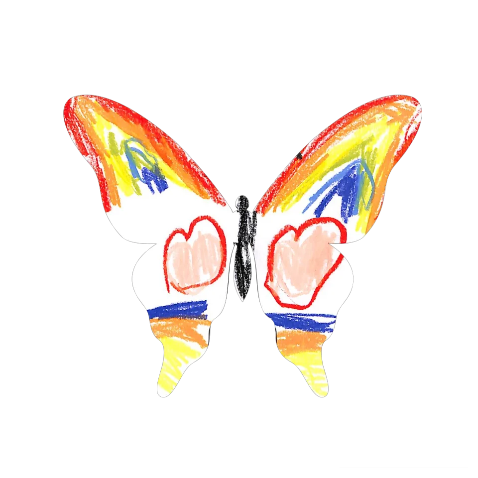 Original Butterfly Image