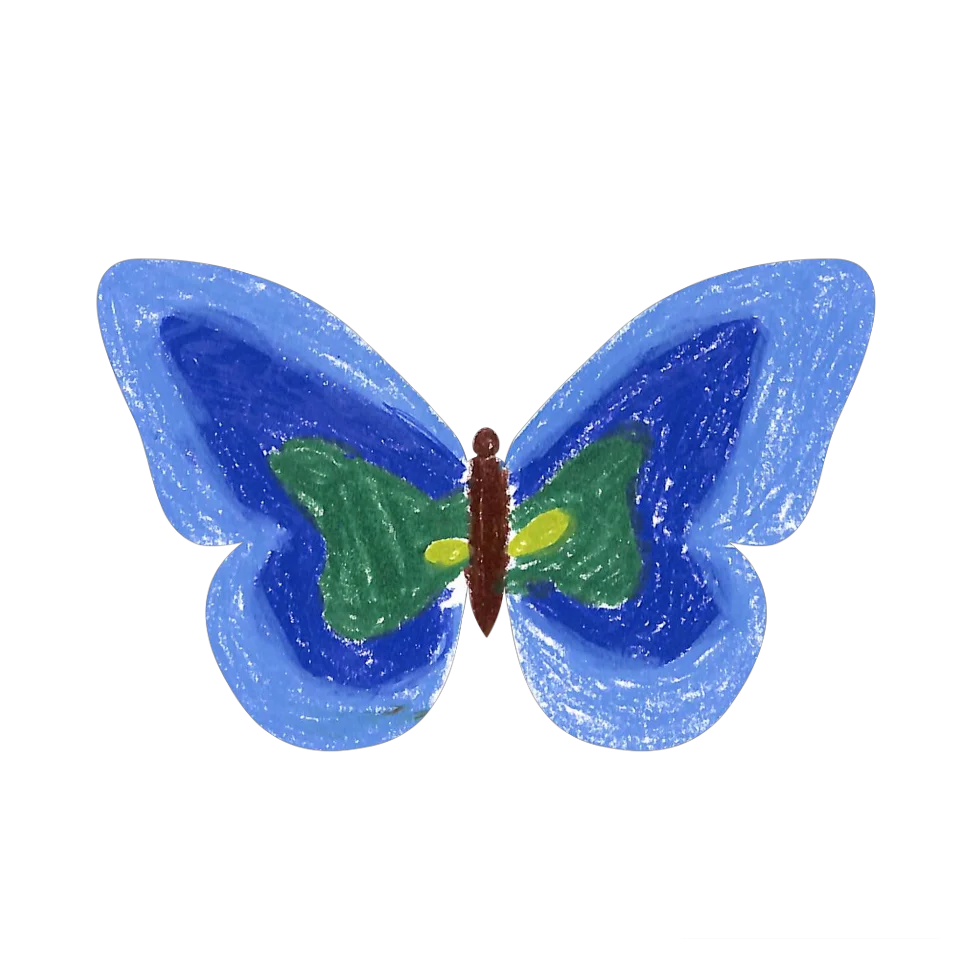 Original Butterfly Image