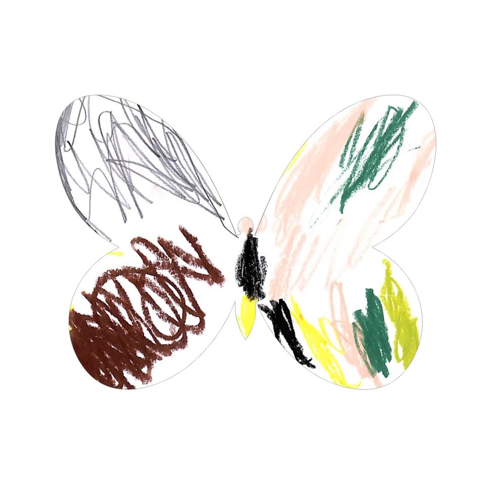 Original Butterfly Image