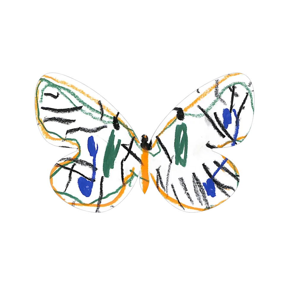Original Butterfly Image