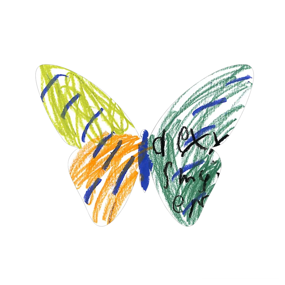 Original Butterfly Image