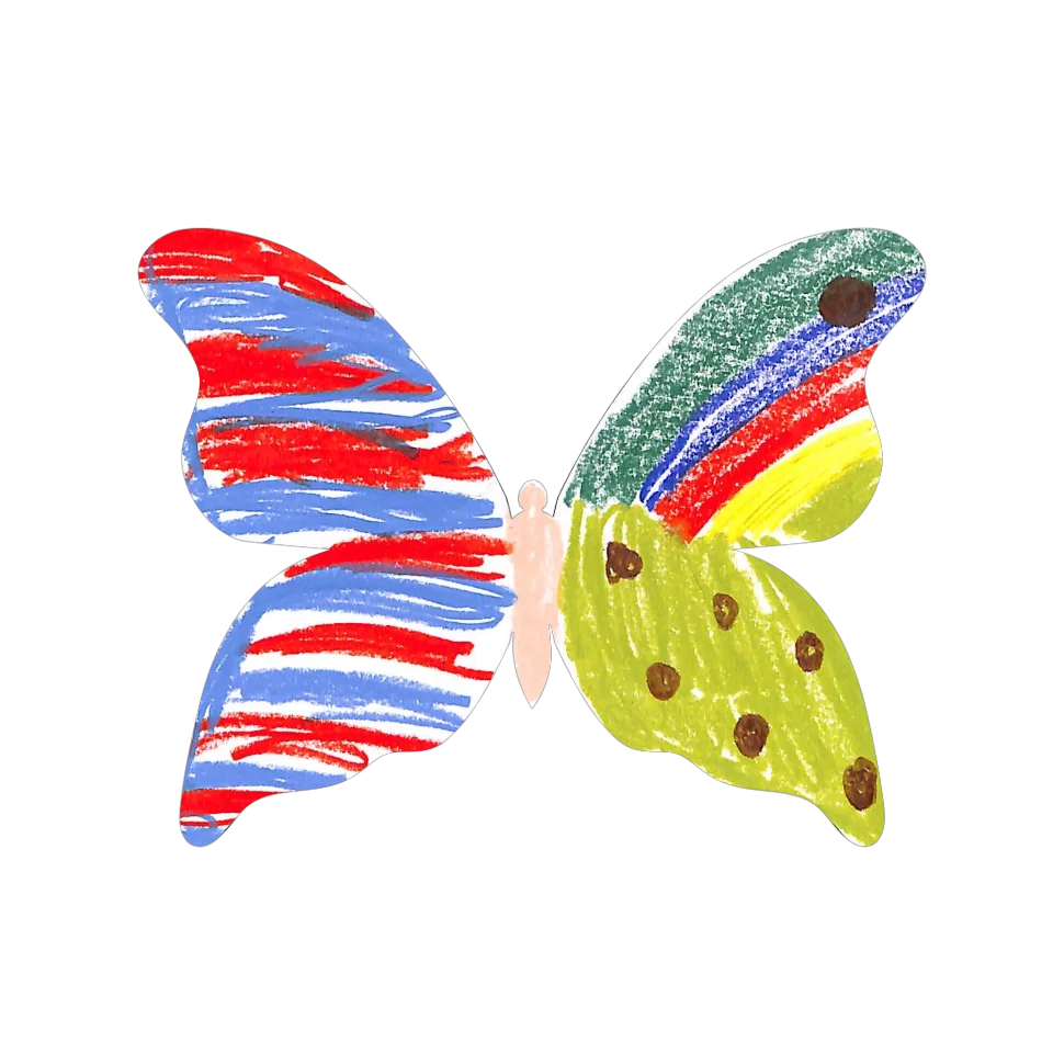 Original Butterfly Image