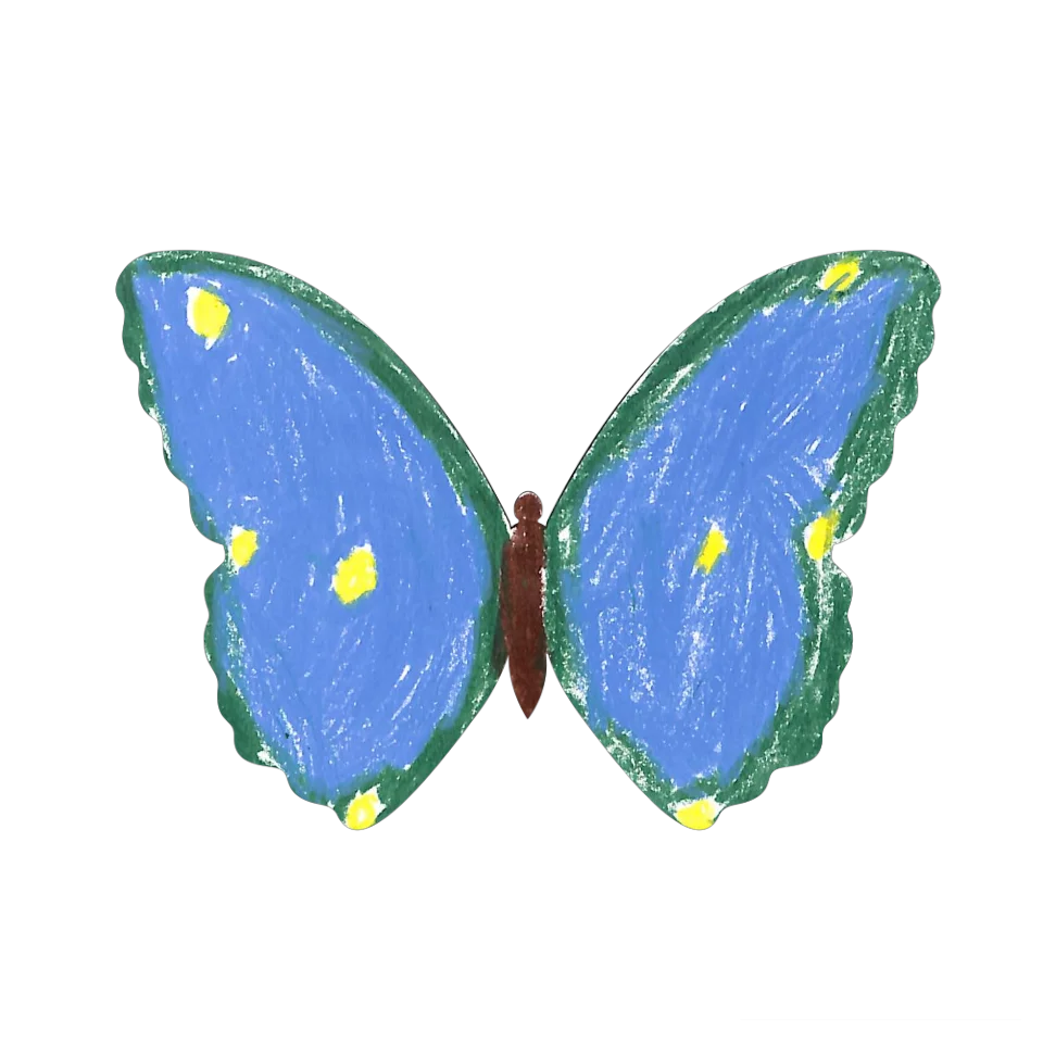 Original Butterfly Image