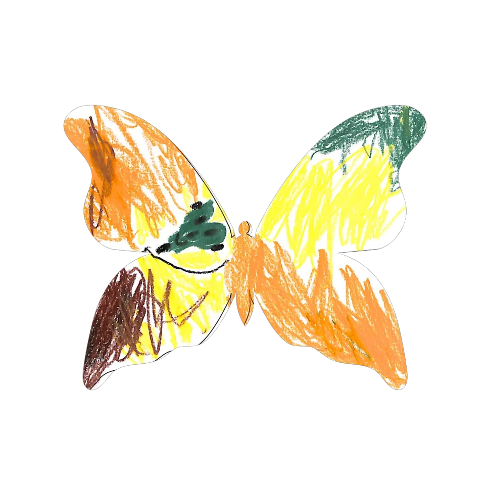 Original Butterfly Image