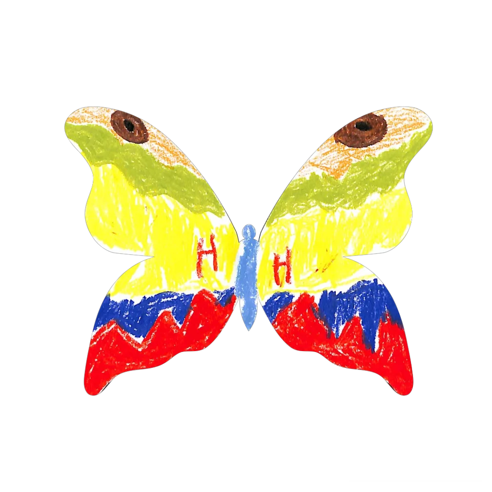 Original Butterfly Image