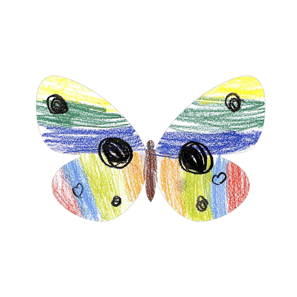 Original Butterfly Image
