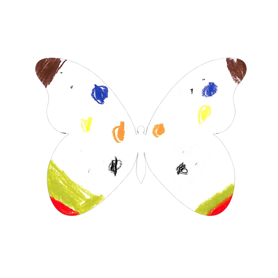 Original Butterfly Image