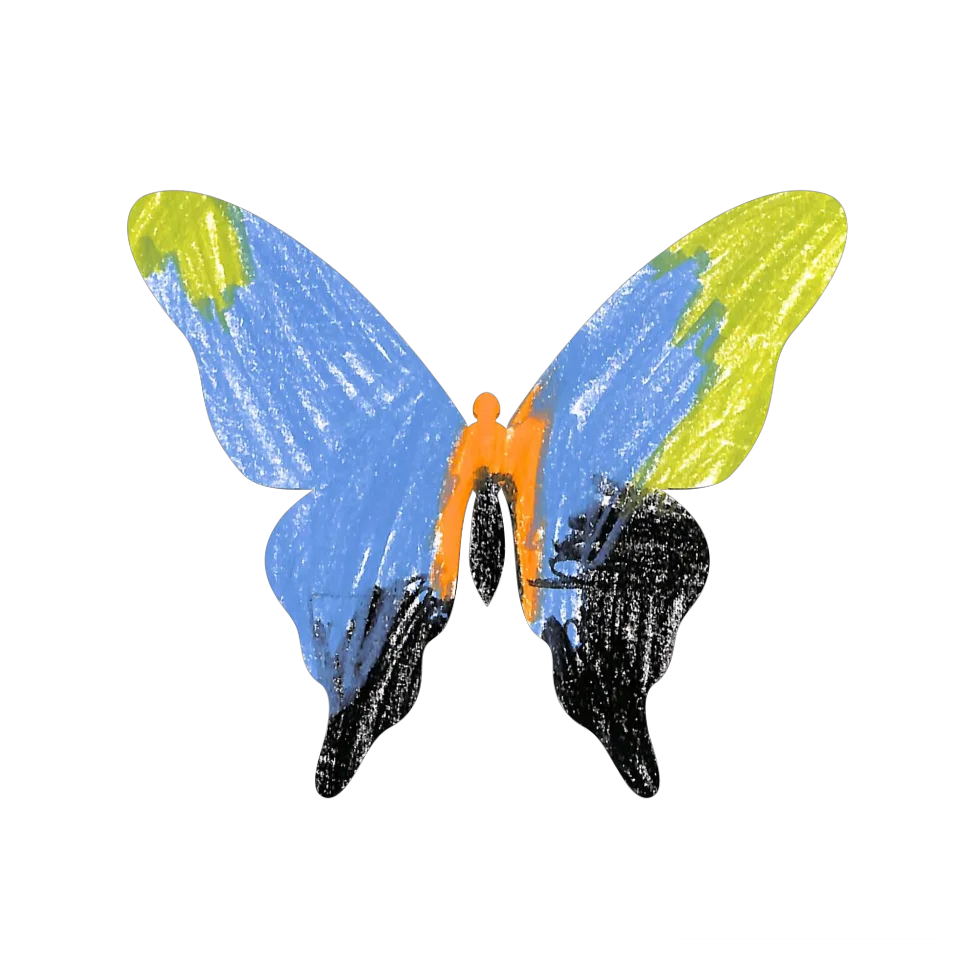 Original Butterfly Image
