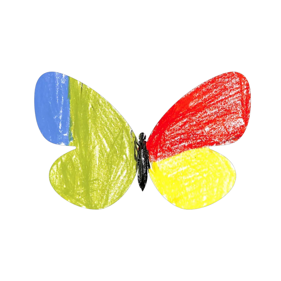 Original Butterfly Image