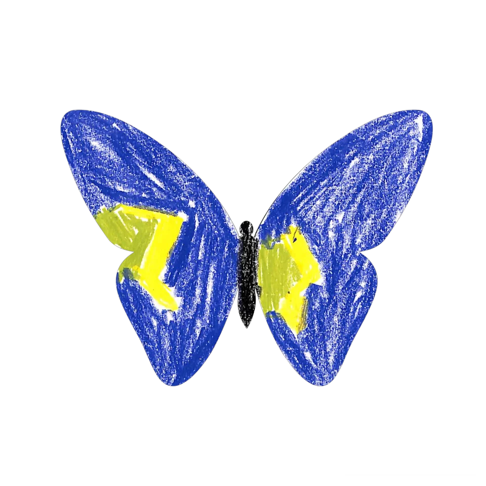 Original Butterfly Image