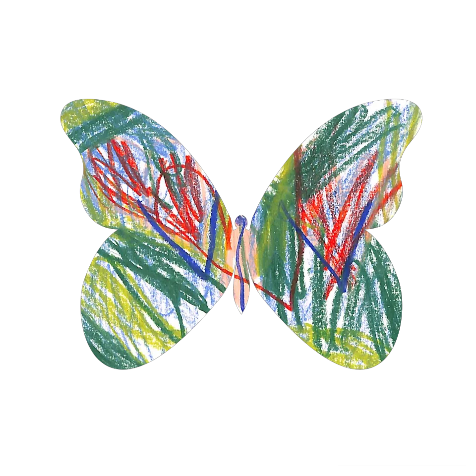 Original Butterfly Image