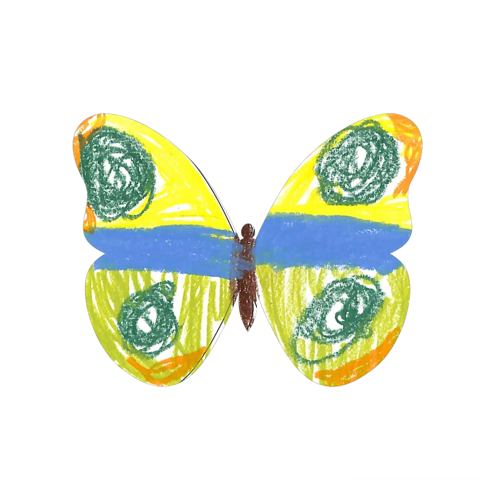 Original Butterfly Image