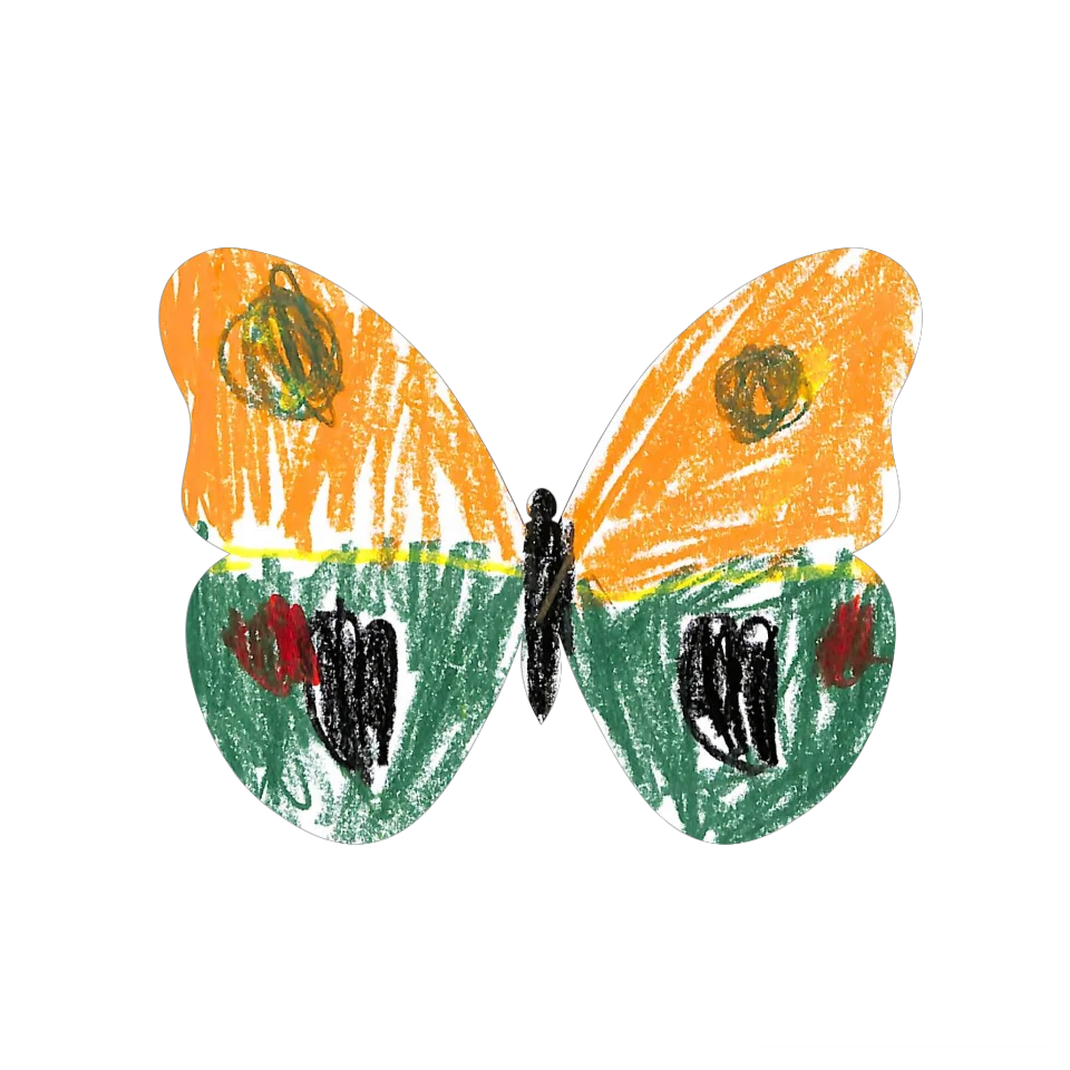 Original Butterfly Image