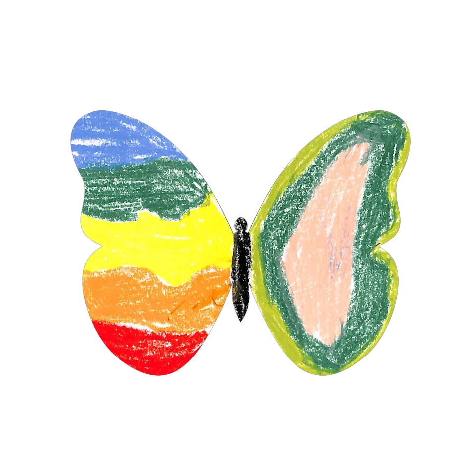 Original Butterfly Image
