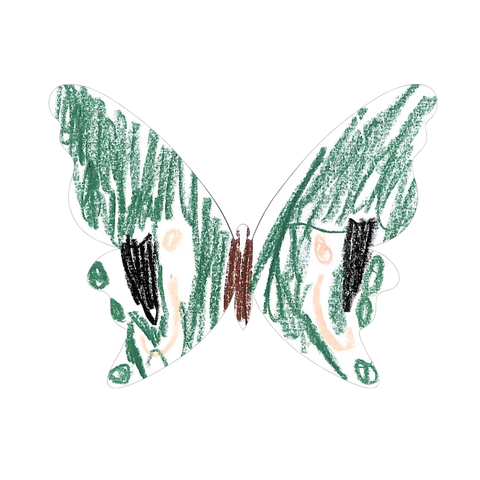 Original Butterfly Image