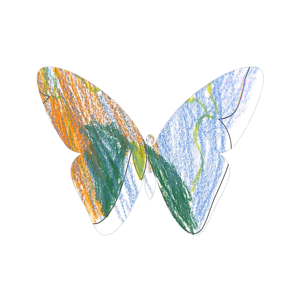 Original Butterfly Image
