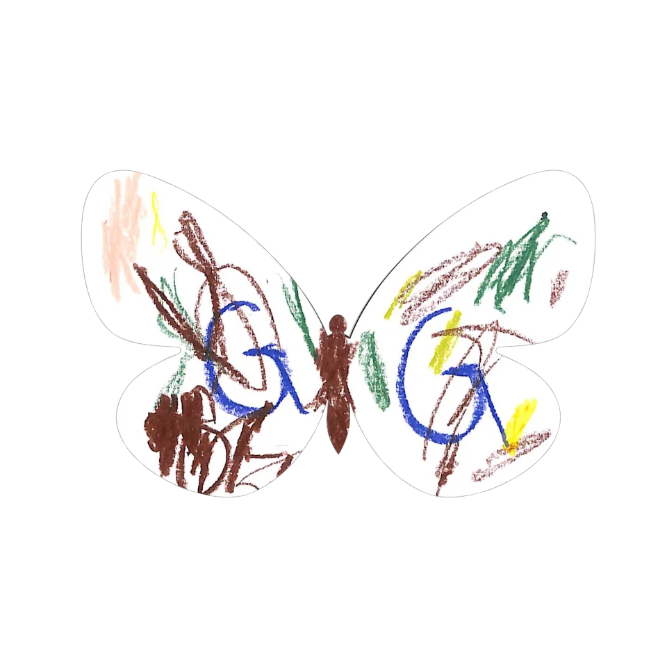 Original Butterfly Image