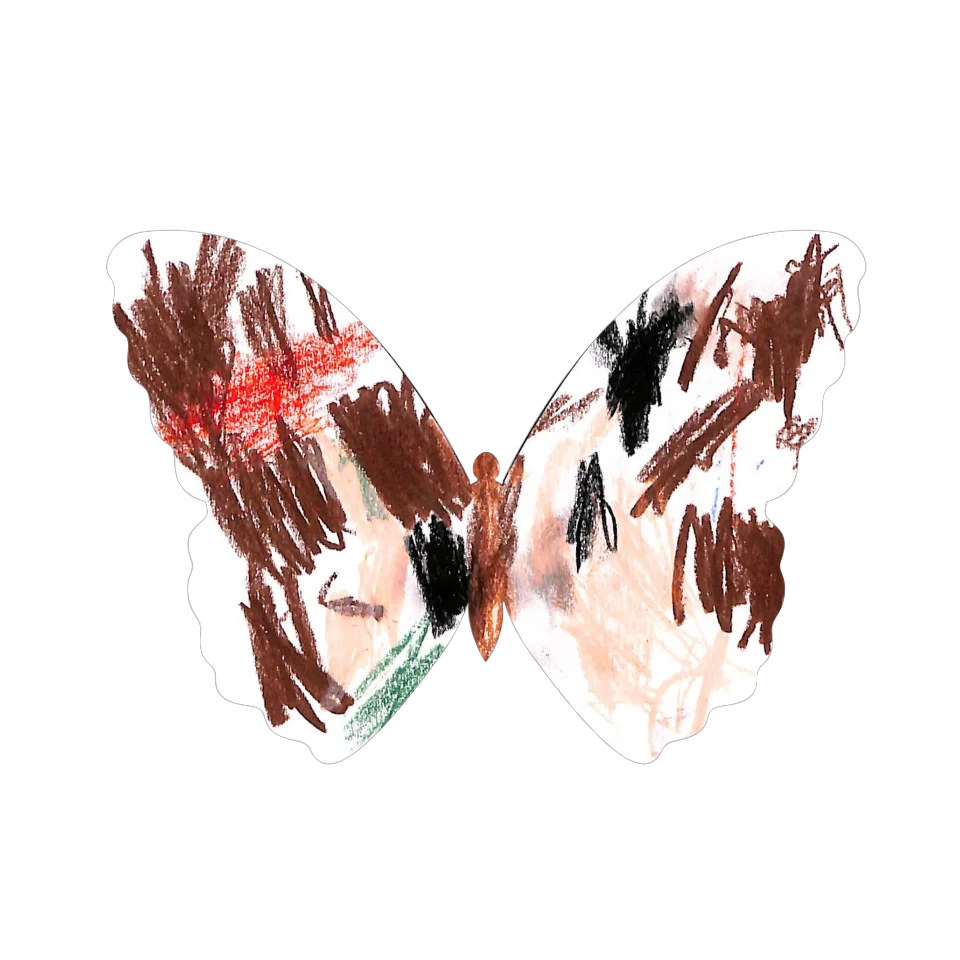 Original Butterfly Image