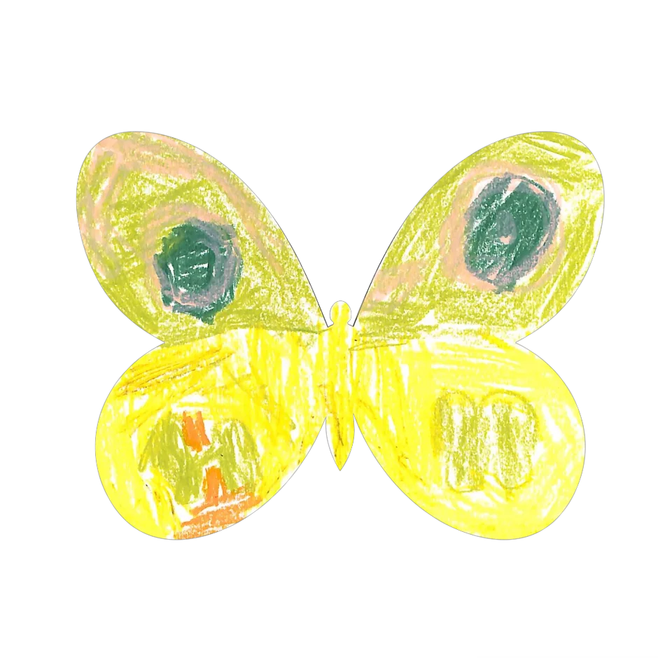 Original Butterfly Image