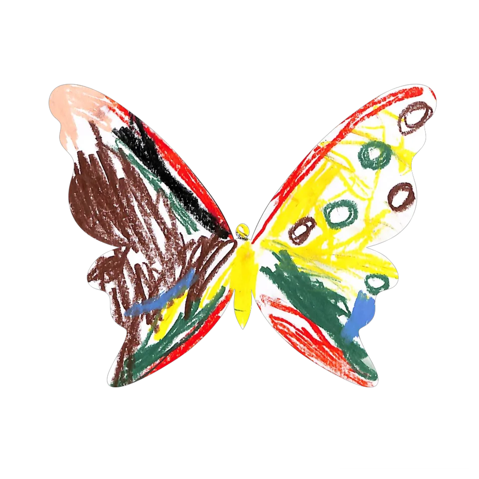 Original Butterfly Image