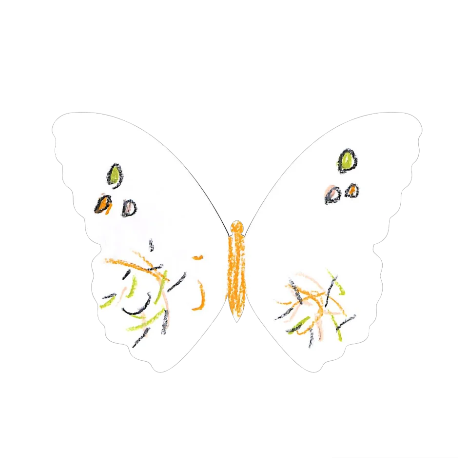 Original Butterfly Image