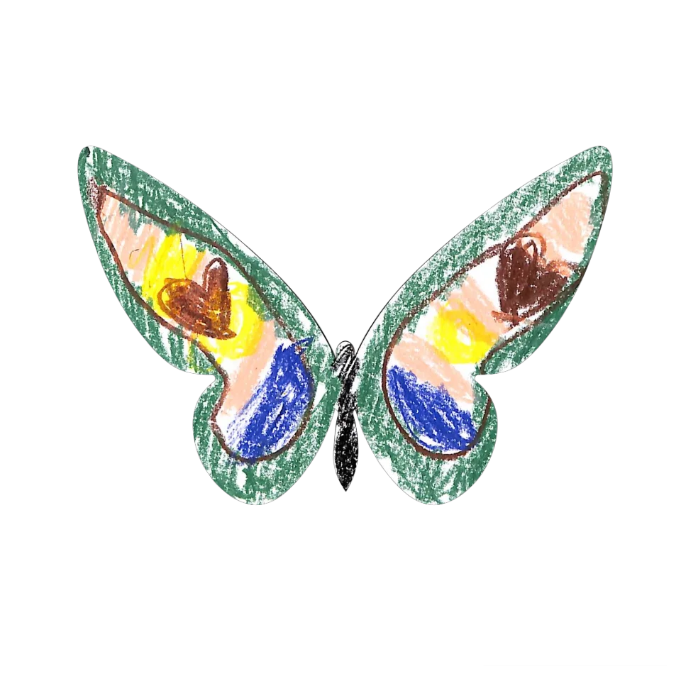 Original Butterfly Image