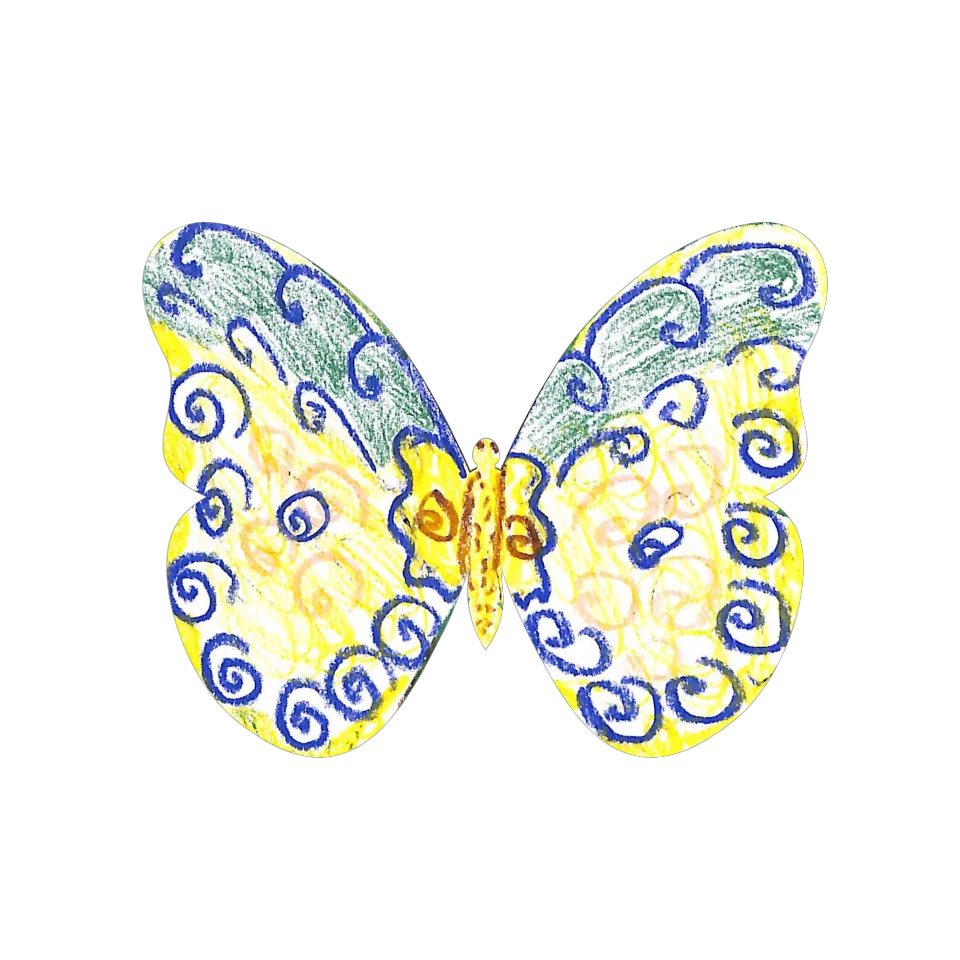 Original Butterfly Image