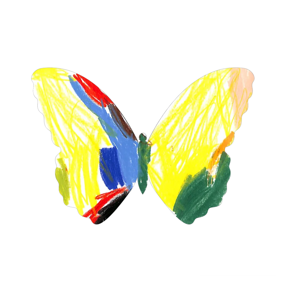 Original Butterfly Image