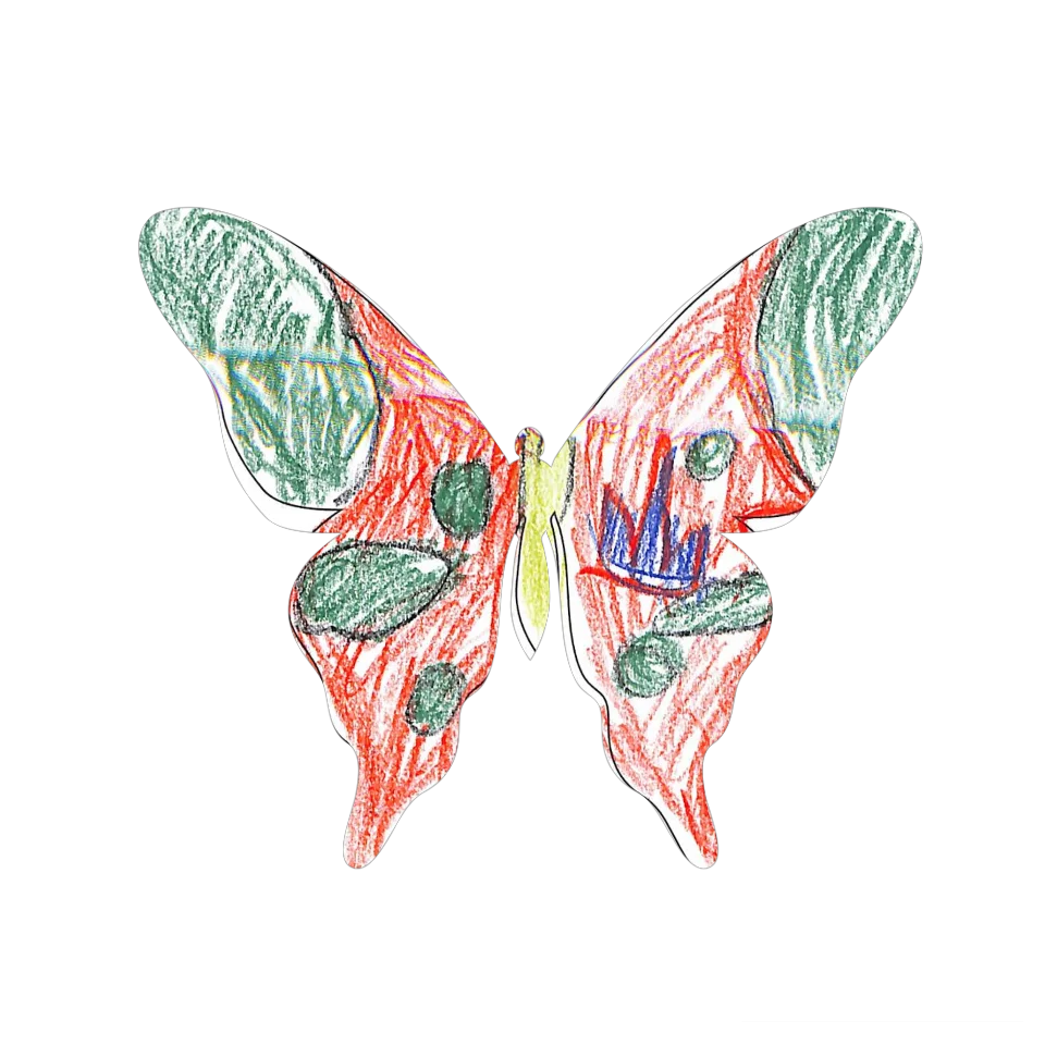Original Butterfly Image